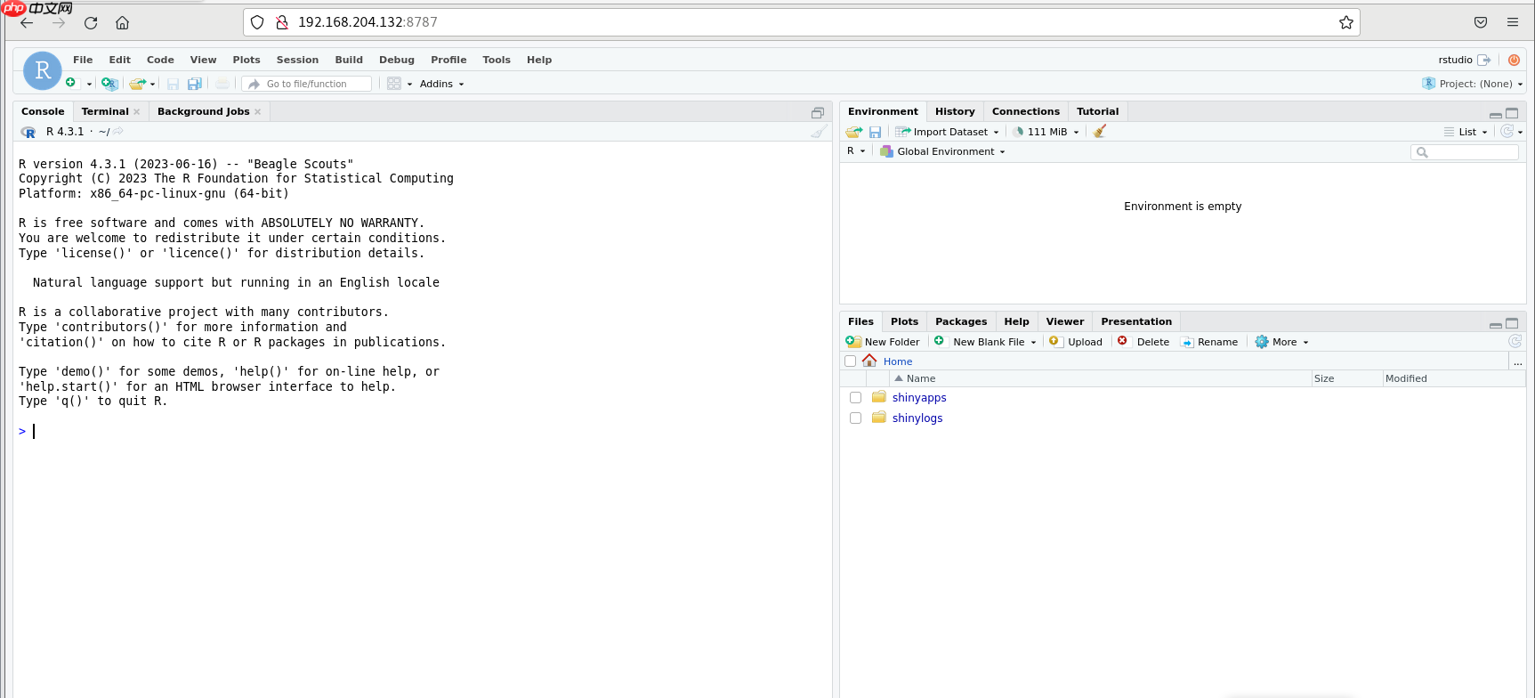 Linux系统使用Docker安装RStudio服务并实现任意浏览器远程访问