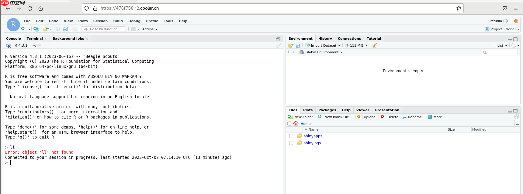 Linux系统使用Docker安装RStudio服务并实现任意浏览器远程访问