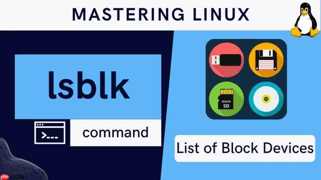 Linux磁盘管理：如何查看UUID和检查分区文件系统-小浪学习网