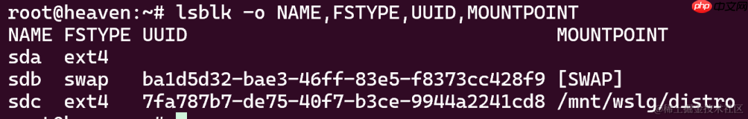 Linux磁盘管理：如何查看UUID和检查分区文件系统