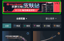 游民星空瓦罗兰特皮肤站怎么看｜游民星空瓦罗兰特皮肤站在哪里