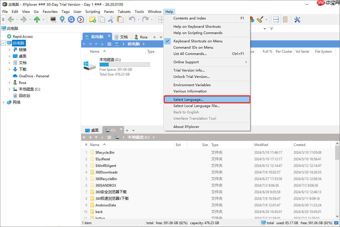 XYPlorer如何设置中文 | XYPlorer设置中文界面教程