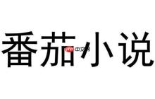 番茄小说VIP免费全畅读 番茄免费小说永久会员清爽版