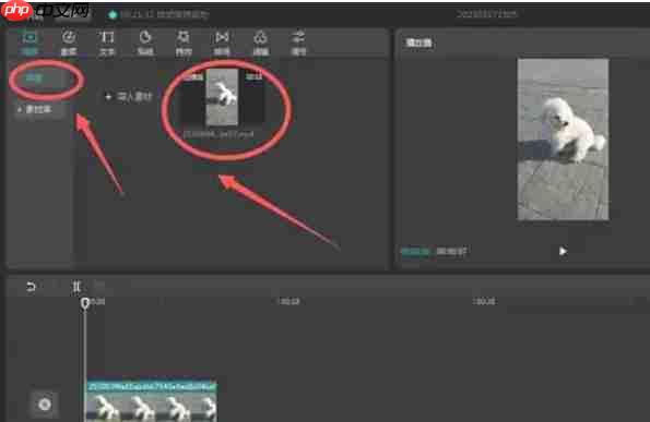 剪映怎么给将画面定格-剪映给将画面定格的方法