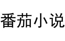 番茄小说VIP免费解锁全 番茄免费小说永久会员免广告