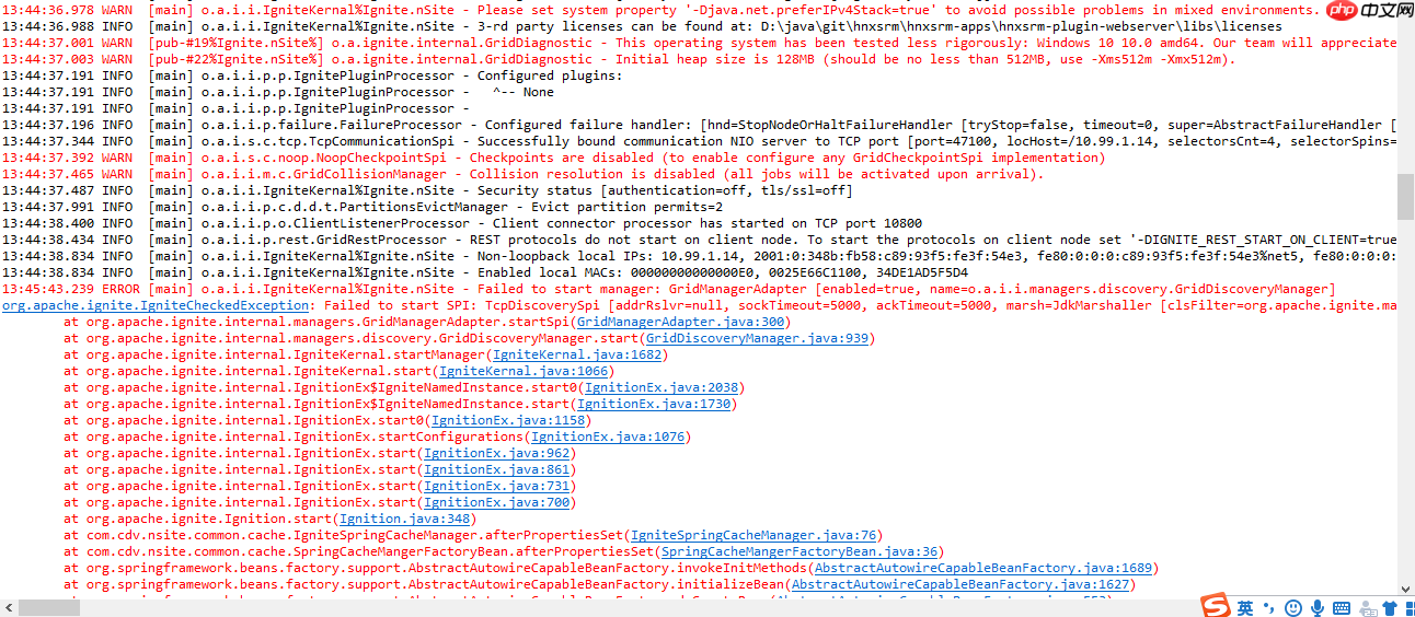 Spring集成ignite,服务发现问题