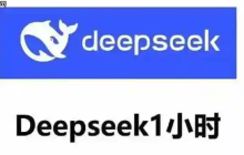 deepseek使用技巧汇总 deepseek怎么开启高级功能