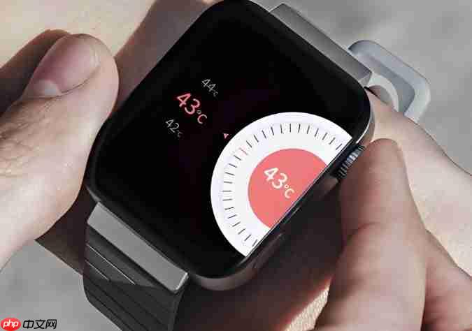 穿戴设备小程序:下一个流量入口?