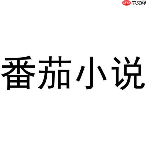 番茄小说永久VIP畅读版 番茄免费小说VIP解锁纯净版