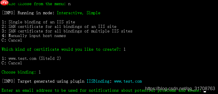 Windows下IIS安装SSL证书并自动续期