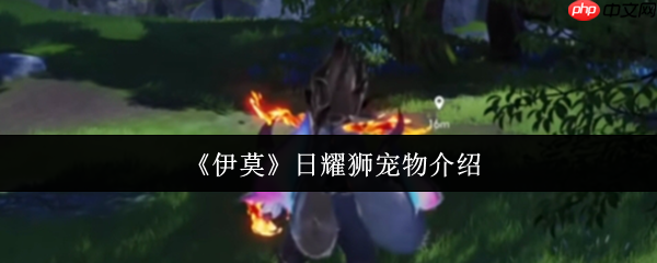 伊莫日耀狮宠物全解析：新手开荒的黄金利爪