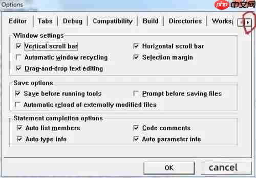 vc++6.0怎么调整字体？vc++6.0调整字体的方法