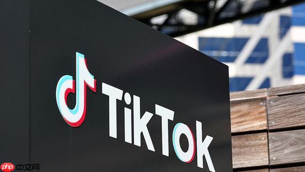TikTok广告开户全攻略！0基础到审核通过，资料准备+下号实操教程