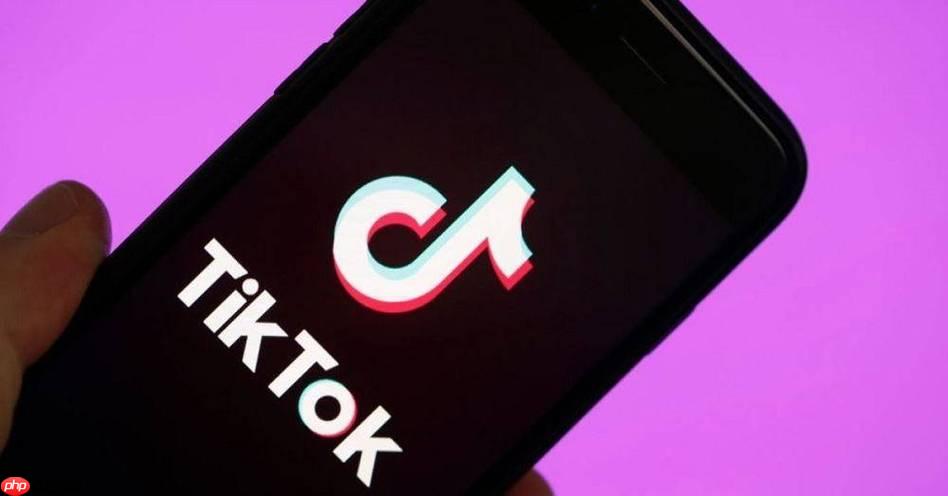 TikTok广告开户新手必看！0门槛操作指南，资料准备+审核优化技巧