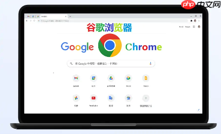 谷歌浏览器如何调整隐私权限 谷歌浏览器的网站权限管理与设置方法