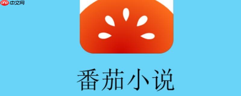 番茄小说永久VIP无弹窗 番茄免费小说VIP纯净畅读版