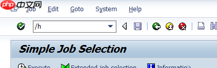SAP ABAP常用DEBUG调试代码的八种方式