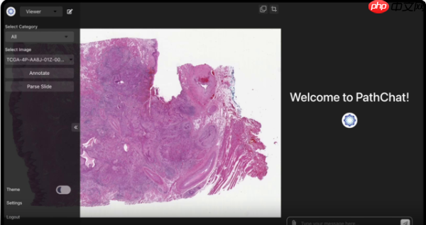 Manus“跑路”风波背后,AI Agent的商业化困局