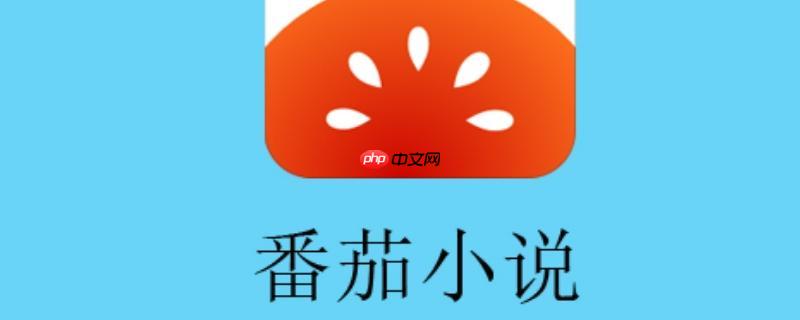 番茄小说永久VIP纯净版 番茄免费小说VIP全站免广告
