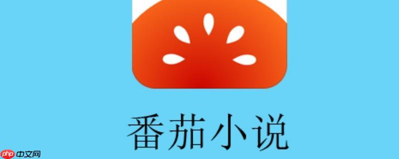 番茄小说永久VIP清爽版 番茄免费小说VIP免费无推广