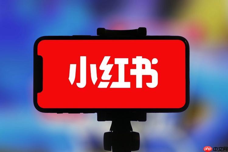 小红书国际版叫什么名字？如何快速进入小红书国际版平台？
