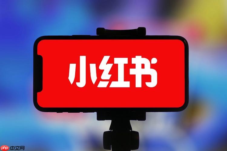 小红书国际版和国内版的区别 小红书有分国内和国外版吗