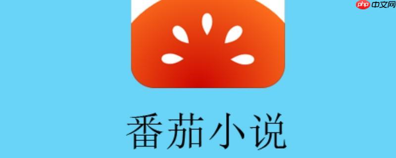 番茄小说VIP解锁会员版 番茄免费小说永久免费清爽读