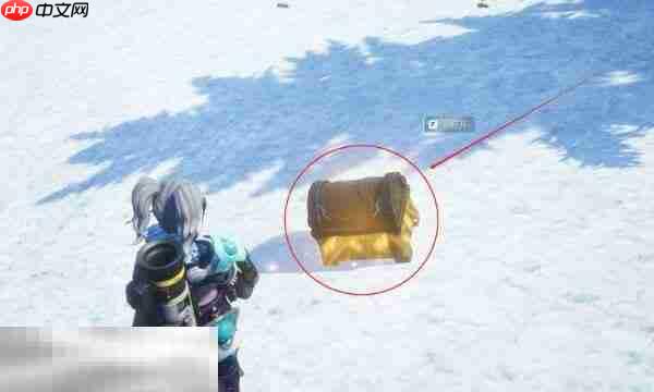 幻兽帕鲁保护团体高塔入口在哪 帕鲁保护团体的高塔入口攻略