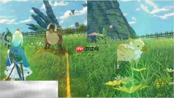 星痕共鸣小猪快跑怎么完成 开拓局委托小猪快跑攻略详情