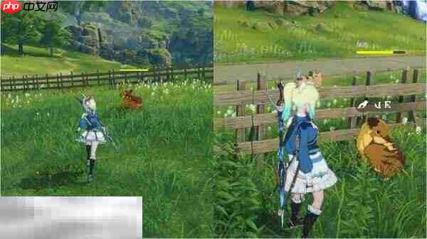 星痕共鸣小猪快跑怎么完成 开拓局委托小猪快跑攻略详情