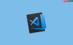VSCode如何实现代码片段共享 VSCode代码片段导入导出的实用方法