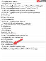 Windows 一个很有点奇葩的路径问题