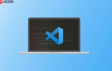 VSCode如何集成Prometheus监控工具 VSCode可视化监控指标的使用方法