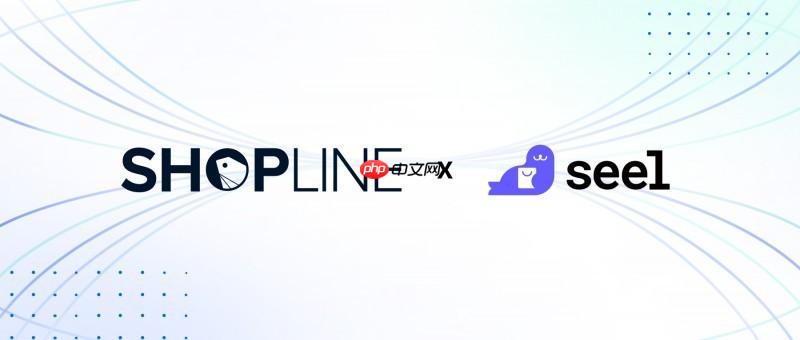 SHOPLINExSeel共建信任基建：独家售后方案为独立站商家提供保障