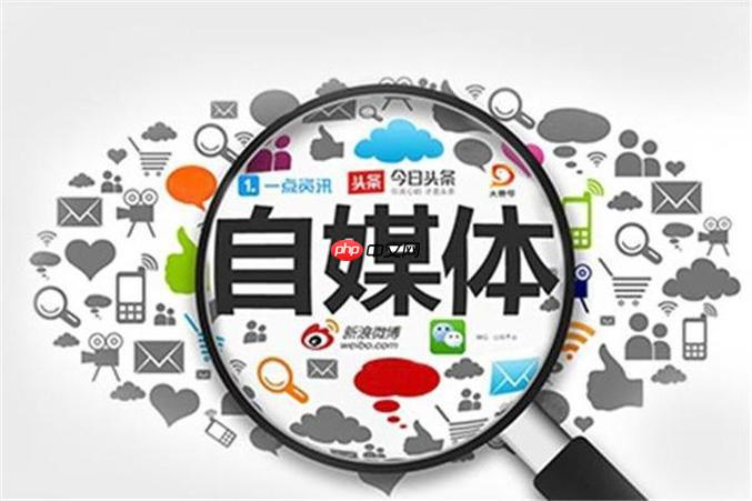 蝴蝶号如何选择热门BGM 蝴蝶号音乐使用的版权指南
