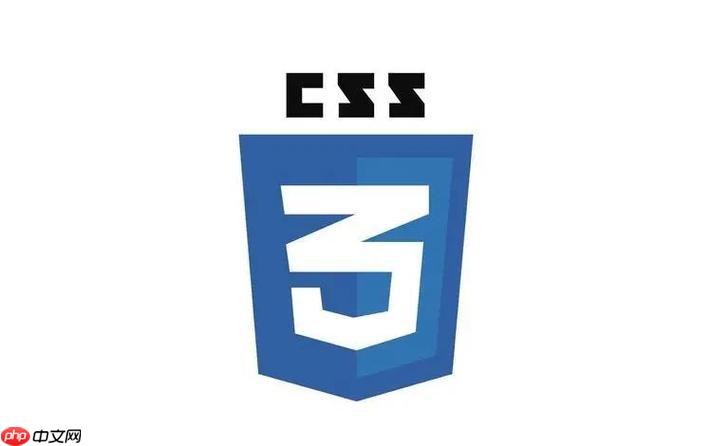 CSS如何优化首屏加载速度？关键CSS提取技巧