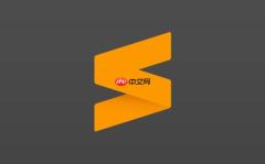 sublime实现跨服务数据同步脚本流程_适用于多系统集成与实时同步场景
