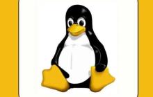 Linux 服务器端口不可访问问题排查