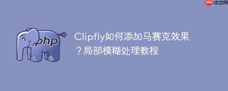 Clipfly如何添加马赛克效果？局部模糊处理教程