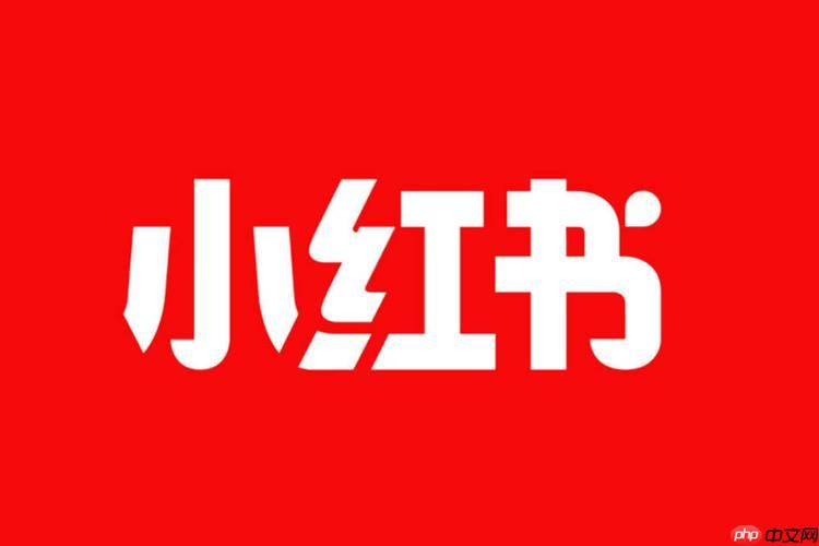 小红书如何实现笔记快速涨粉 小红书涨粉策略的实战经验分享
