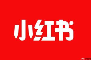 小红书如何实现笔记快速涨粉 小红书涨粉策略的实战经验分享