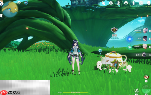 原神妙香林阿嘟在哪 妙香林周游壶灵阿嘟位置介绍