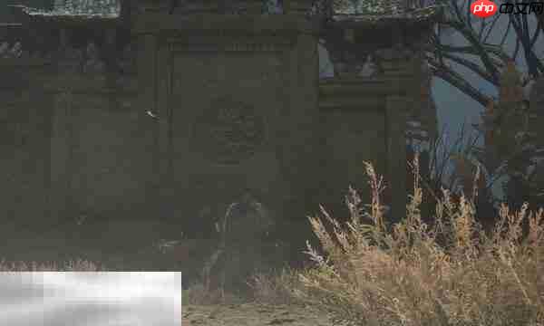 明末渊虚之羽羽骨砭・火焰怎么获取 淬羽砭石用途介绍​