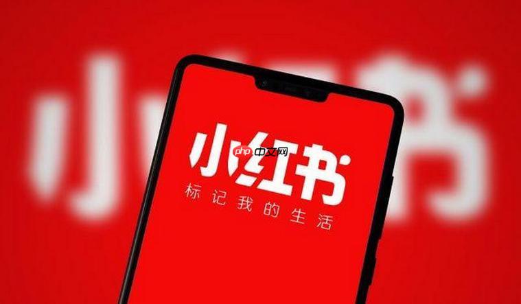 小红书如何通过数据分析提升流量 小红书账号运营的数据分析技巧