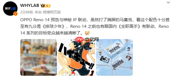 OPPO Reno14手机与神秘IP联动 疑似是《排球少年》