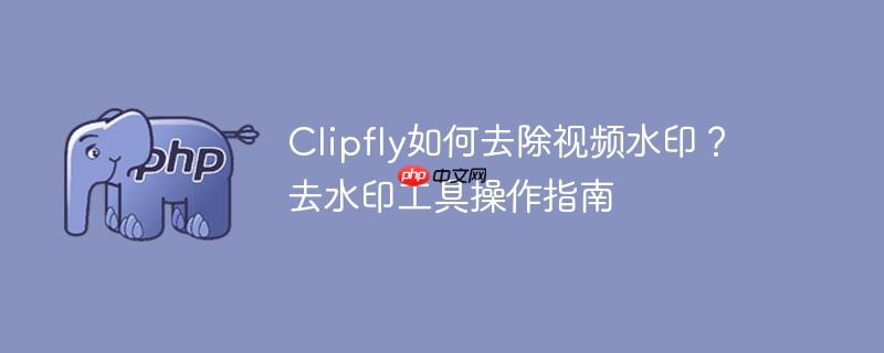 Clipfly如何去除视频水印？去水印工具操作指南