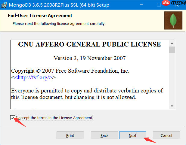 Windows 平台安装 MongoDB教程
