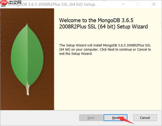 Windows 平台安装 MongoDB教程