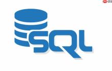从基础SQL到复杂查询：解锁商分、专业课场景与大厂实战秘籍