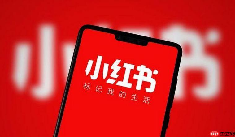 小红书如何通过合作推广增加收益 小红书品牌合作的变现指南